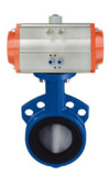 Pneumatic Butterfly Valve